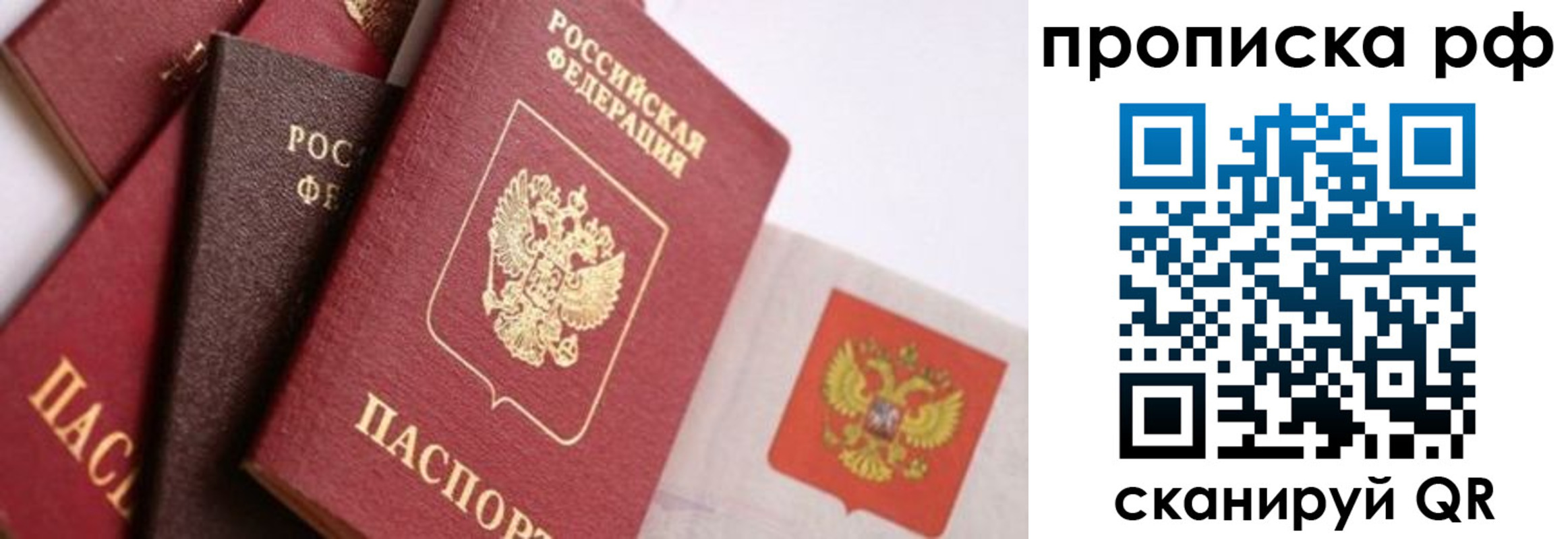 найти адрес прописки в Арамили